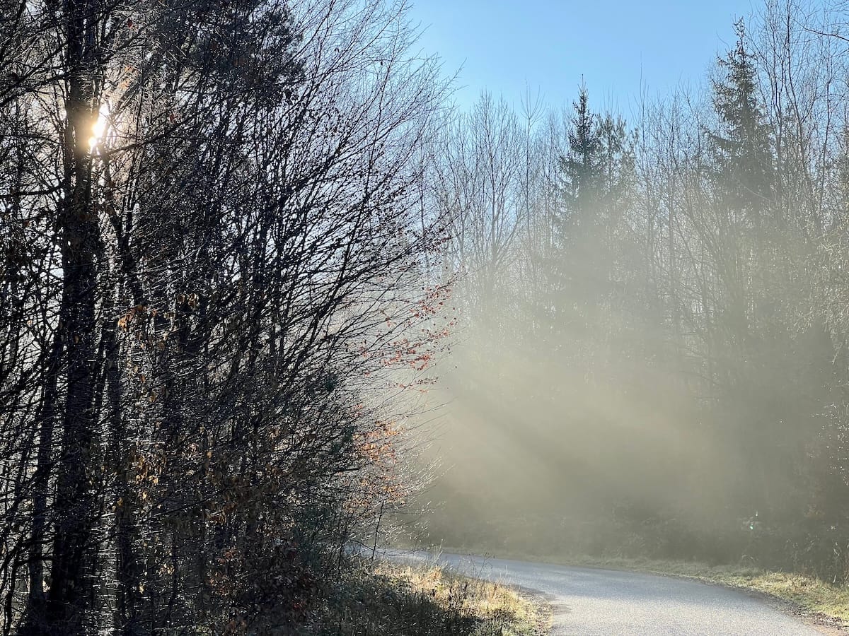 Hier stehen die meisten öffentlichen Ladesäulen je Einwohner in NRW